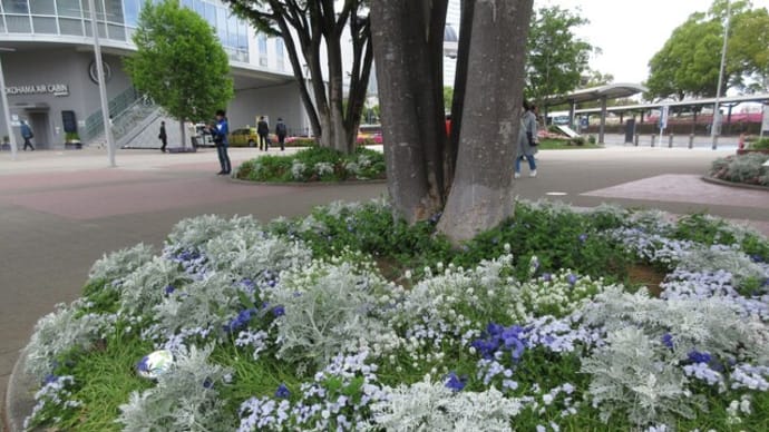みなとみらい グランモール公園 『美術の広場』