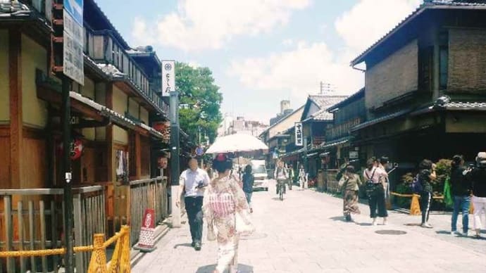 京都:甘茶の花!