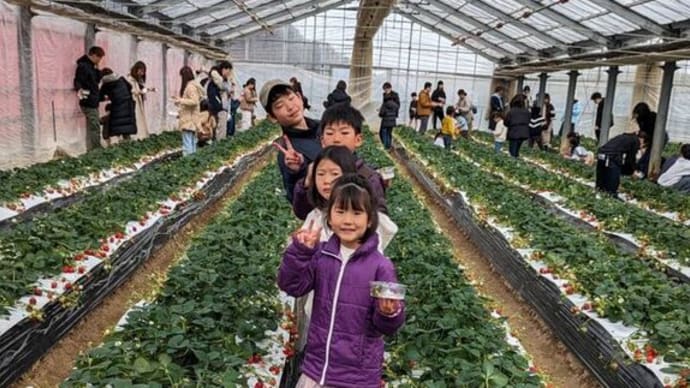 良いな、いちご狩り・・・