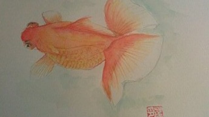 ぺんてるの透明水彩絵の具で金魚を描いてみた