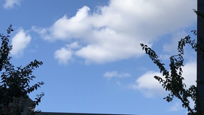 夏空