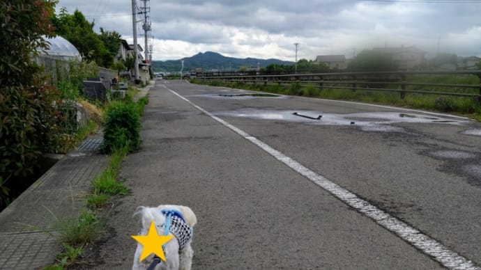 最大の敵は身内にあり?の事。