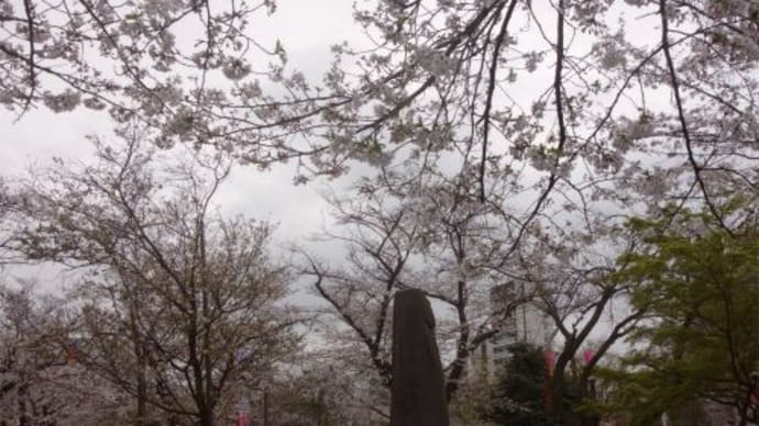 飛鳥山公園・旧渋沢庭園 2024/4