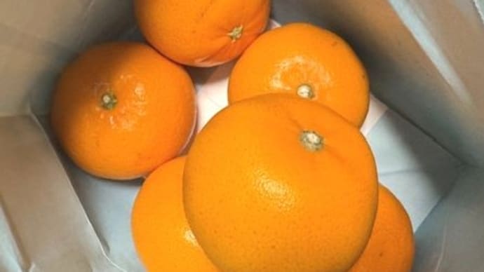 頂いたり 差し上げたり