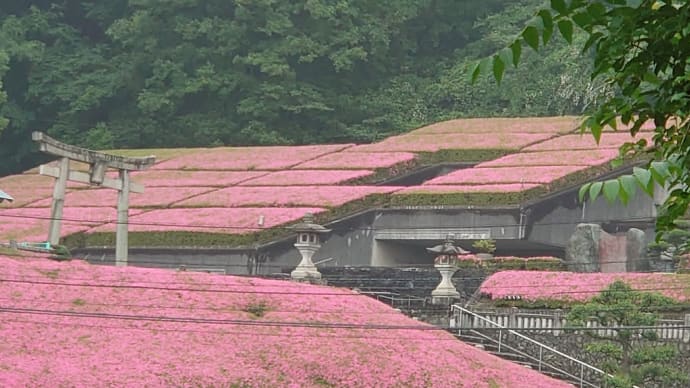 別子銅山記念館のピンク屋根