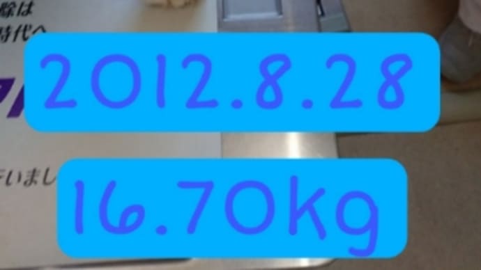 すっごく近いし