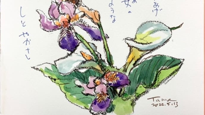 空見あげ 乙女のような しとやかさ