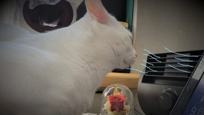 風を独占