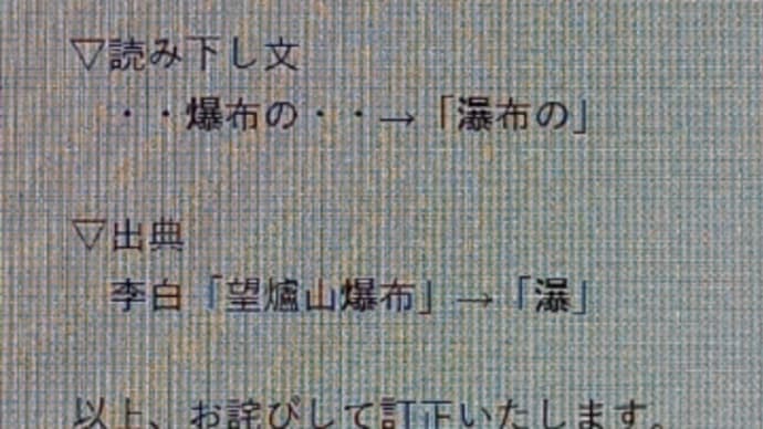 アインシュタイン記念日??