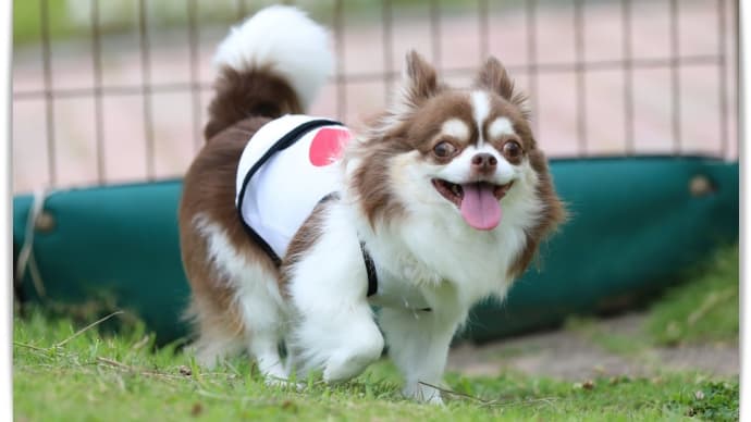 一番の暑がりさん( ̄▽ ̄;)