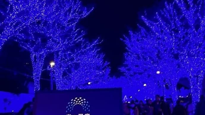 2023年 イルミネーションTokyo