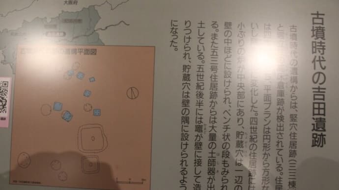和歌山県立博物館(4)