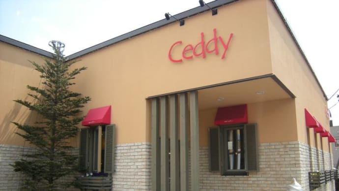 札幌Ceddy