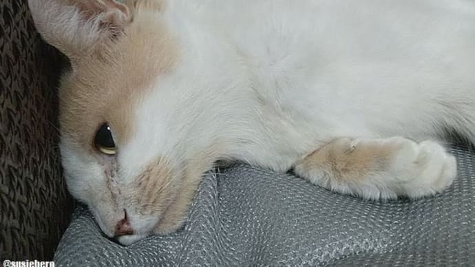 麻痺広がる