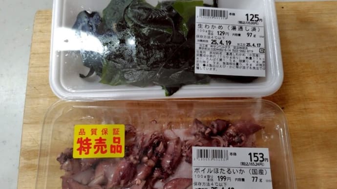 脳への抵抗