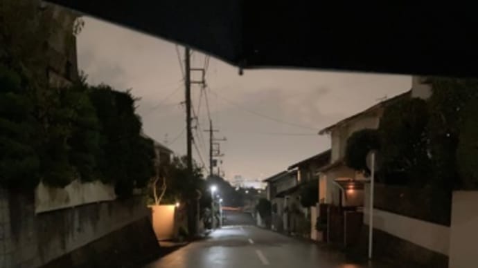やっぱり雨に