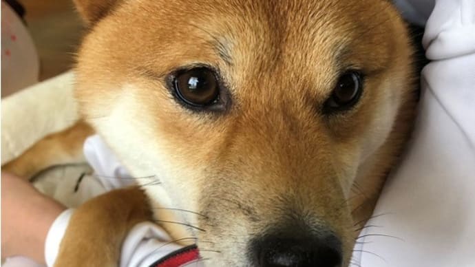 姉々との長いお休みの巻