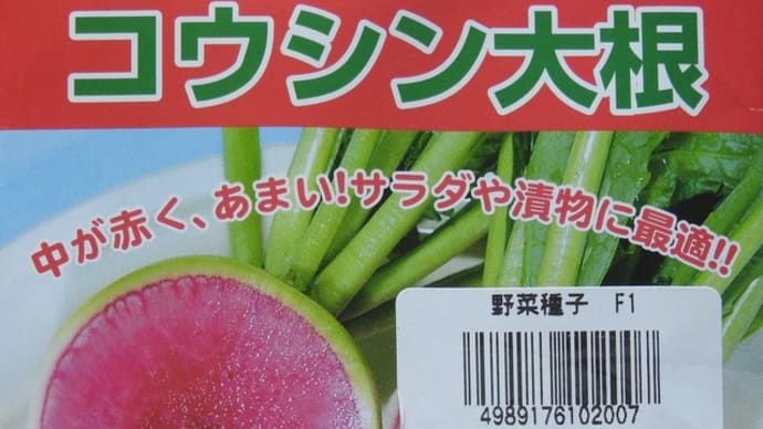 コウシンダイコン(紅芯大根)