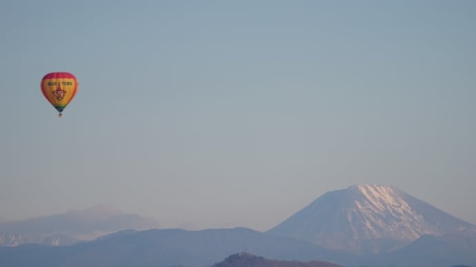 渡良瀬遊水地から見た男体山