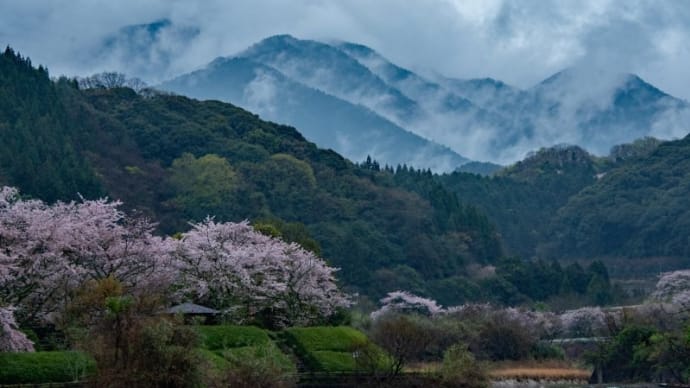 玉川からタオル美術館へ