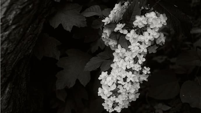 自分の身は自分で守る