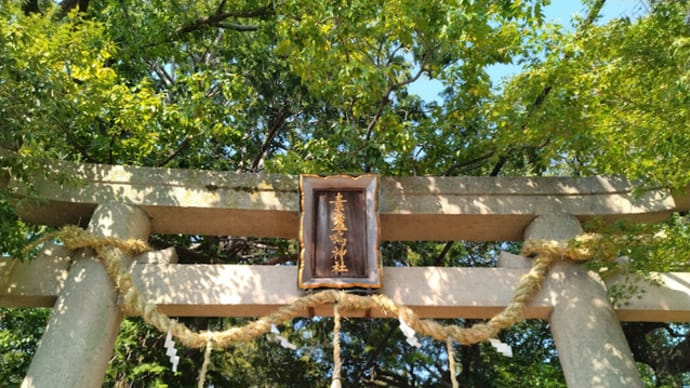 寄り道