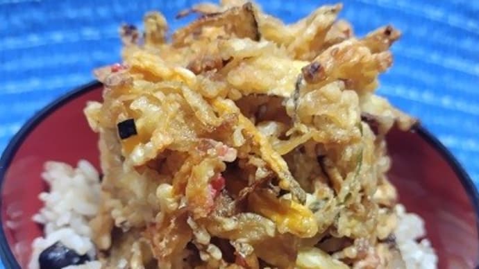 【06/12昼食】五目かき揚げ、谷町ぽん酢を掛けていただいたんだね:D