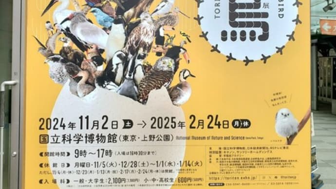 痒疹・皮膚疾患に苦しむ近年