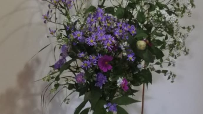 野趣たっぷりの花に秋を感じて