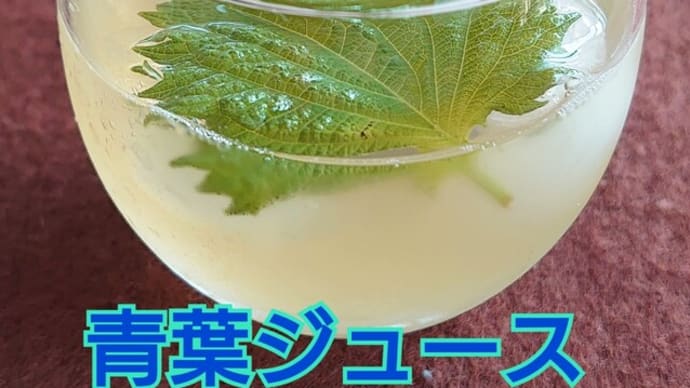 8/9(水)青葉ジュースの簡単な作り方〜🎵愛は夢の中に
