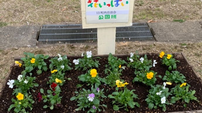 サザエさん 長谷川町子生誕百年に