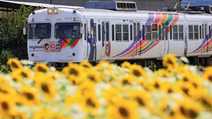 渕東なぎさTRAINとヒマワリ