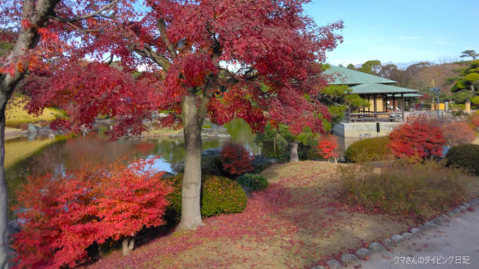 大仙公園の続き
