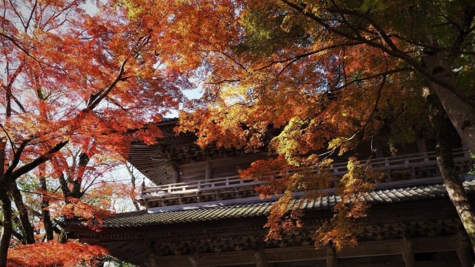 秋彩の候 part 3(永源寺)