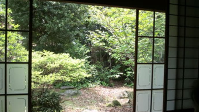 孫の夏休み
