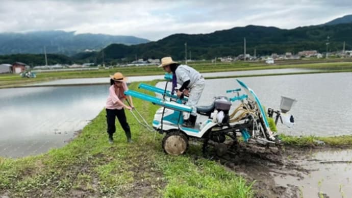 人間の弱さも、情けなさも見えてくる。🌷