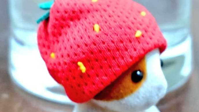 しちゃくちゅ
