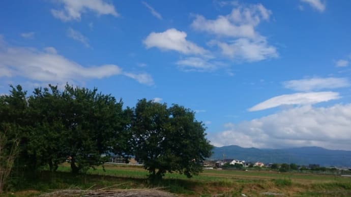 不満の虫を叩き出せ