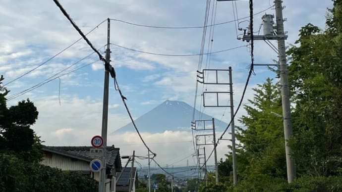 また水槽が増えた(涙