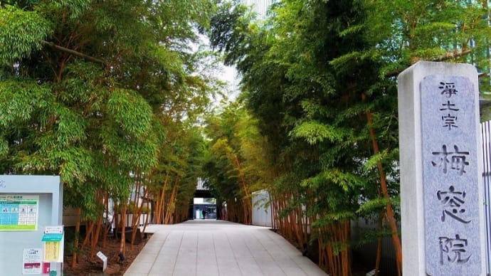 青山家菩提寺「長青山寶樹寺梅窓院」