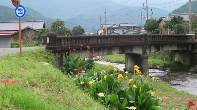集合写真