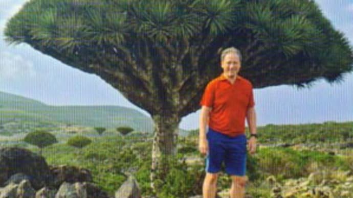 新着QSL 7O8AD