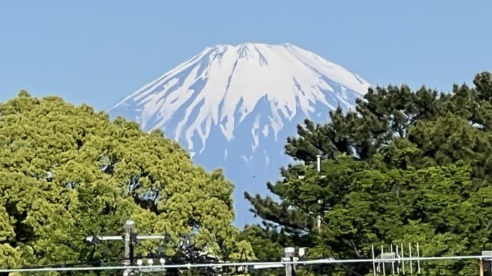 マイガーデンは花盛り