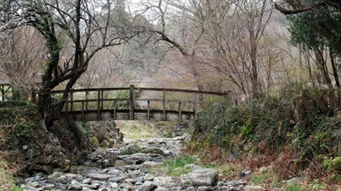 里山体験プログラム「春の風布川」