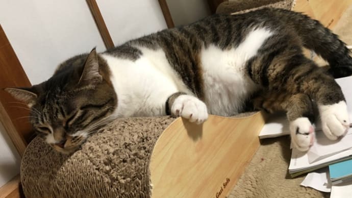 まだまだ熱帯夜