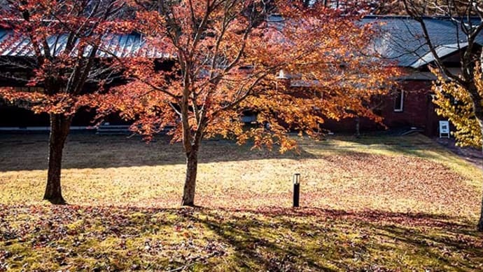 文学の森公園