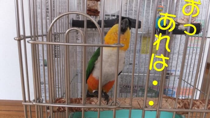 早くください