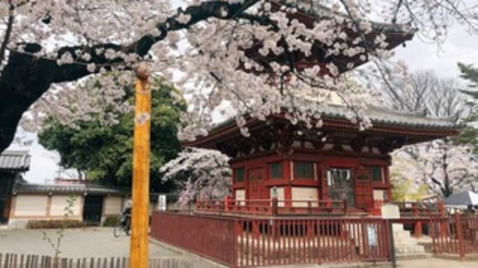 【川越のグルメ】屋台屋 博多劇場 本川越店〔2022-3-31〕 ~歳の数だけ餃子プレゼント~