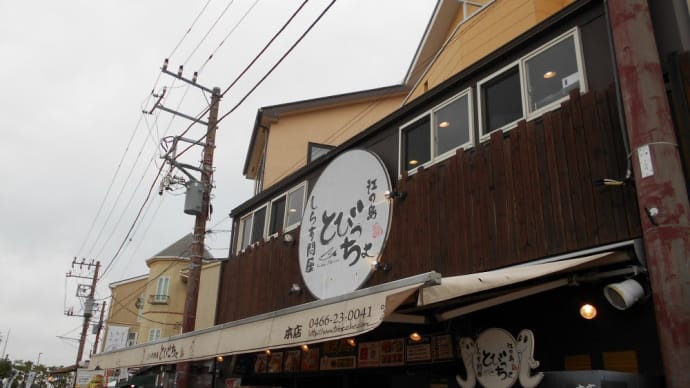 藤沢市 とびっちょ本店 生シラス丼、特大焼きハマグリ、アジフライ