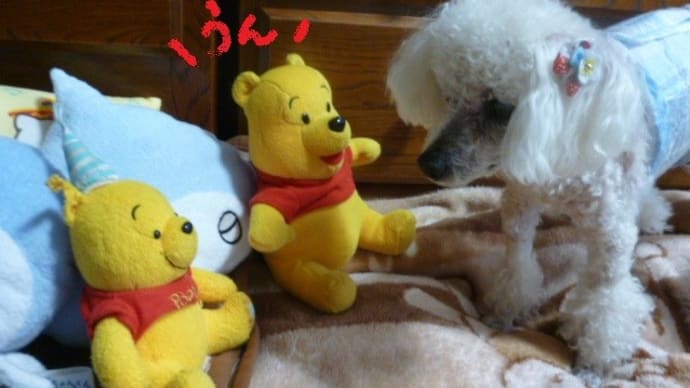 外は暑くても…家の中はひんやりかな?
